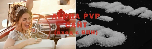 прущие грибы Пересвет