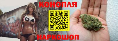 индика Можга